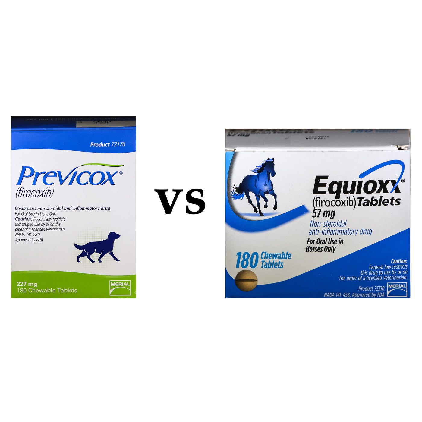 Previcox vs. Equioxx for Horses
