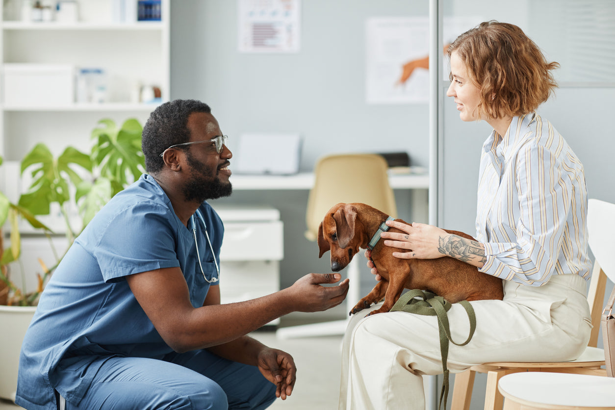 Benazepril for Dogs: Treat Your Pet’s High Blood Pressure