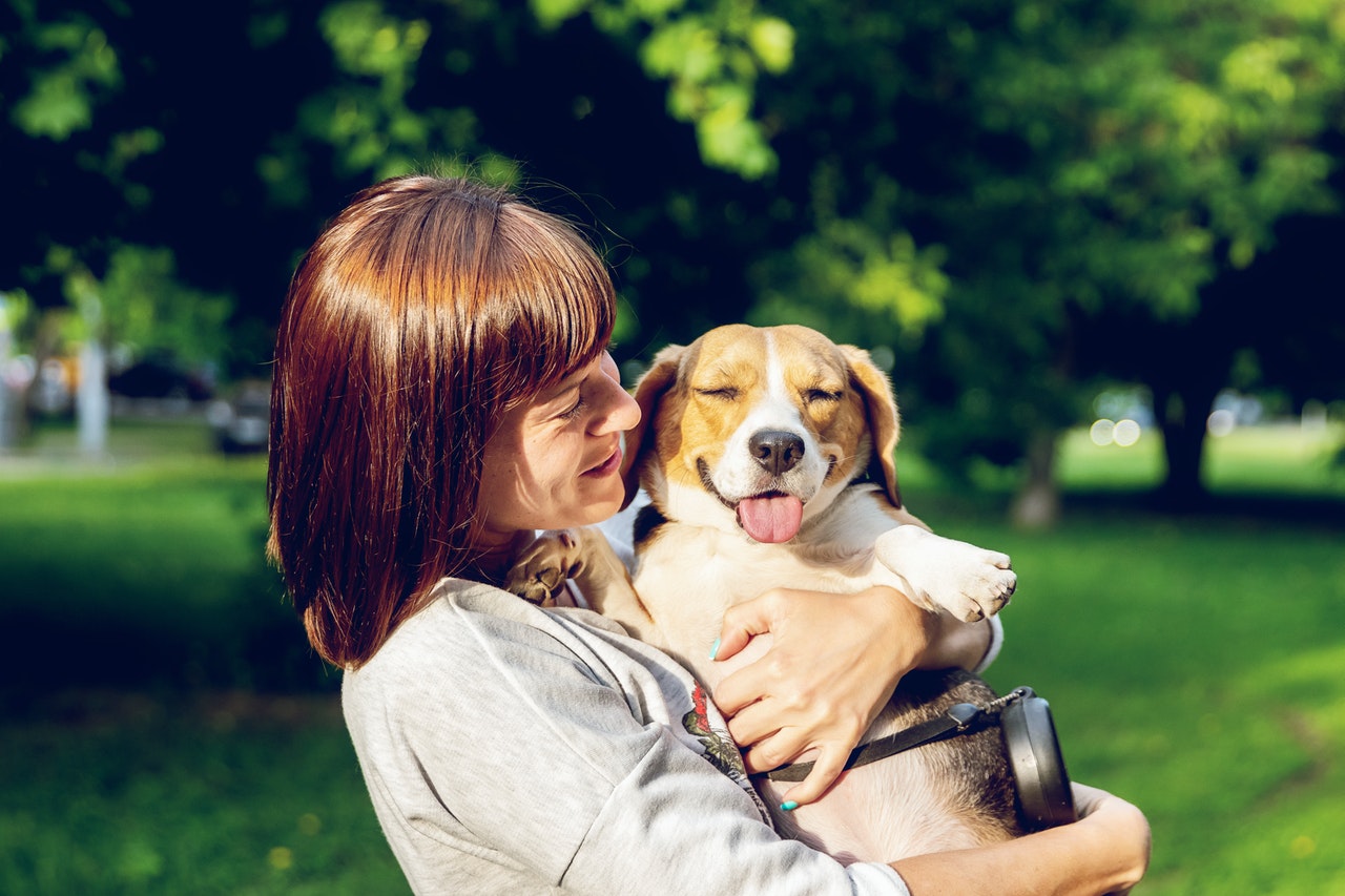 Enrofloxacin: My Dog's Cancer Solution